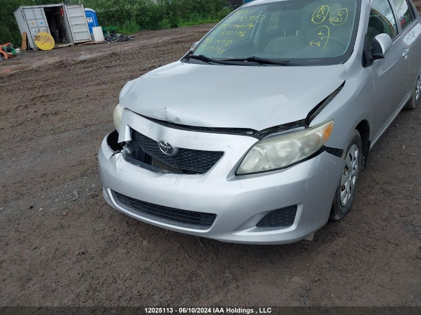 2009 Toyota Corolla VIN: 2T1BU40E69C102146 Lot: 12025113