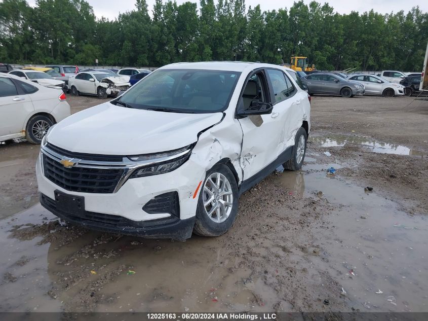 2023 Chevrolet Equinox Ls VIN: 3GNAXSEG2PL240561 Lot: 12025163