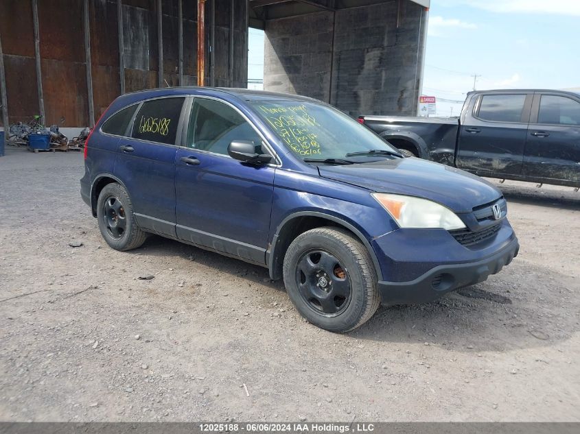 2007 Honda Cr-V VIN: 5J6RE48307L800167 Lot: 12025188