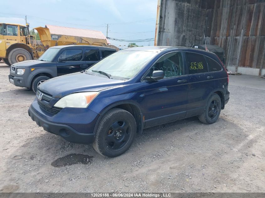 2007 Honda Cr-V VIN: 5J6RE48307L800167 Lot: 12025188