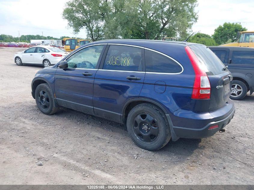 2007 Honda Cr-V VIN: 5J6RE48307L800167 Lot: 12025188