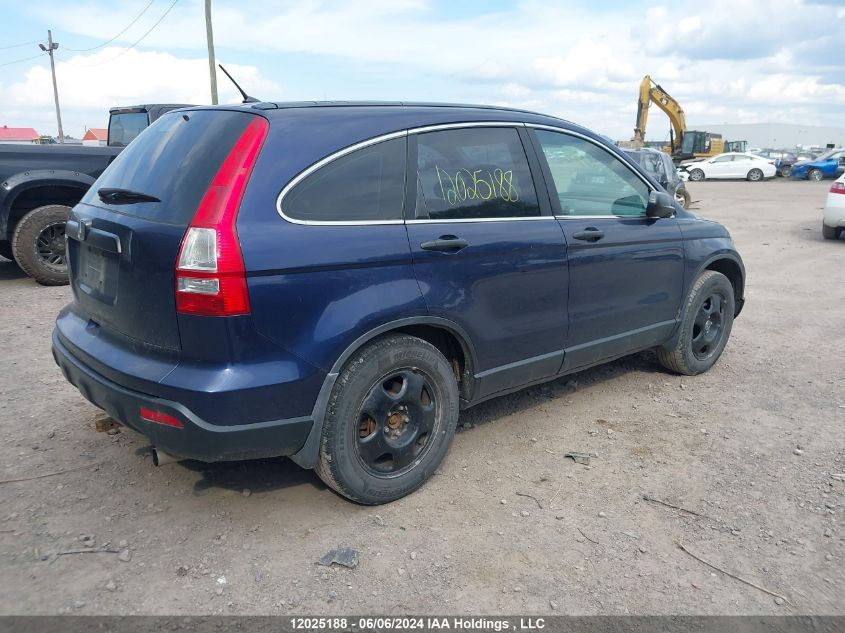 2007 Honda Cr-V VIN: 5J6RE48307L800167 Lot: 12025188