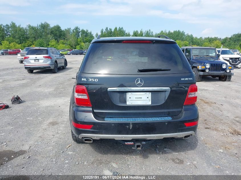 2010 Mercedes-Benz Ml 350 Bluetec VIN: 4JGBB2FB0AA581871 Lot: 12025191