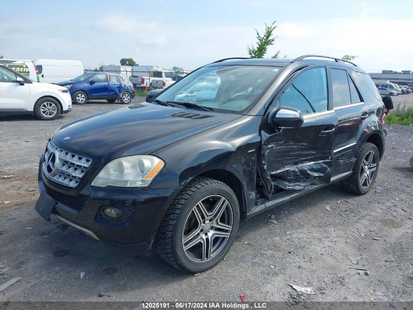 2010 Mercedes-Benz Ml 350 Bluetec VIN: 4JGBB2FB0AA581871 Lot: 12025191