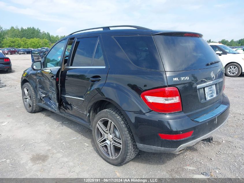 2010 Mercedes-Benz Ml 350 Bluetec VIN: 4JGBB2FB0AA581871 Lot: 12025191