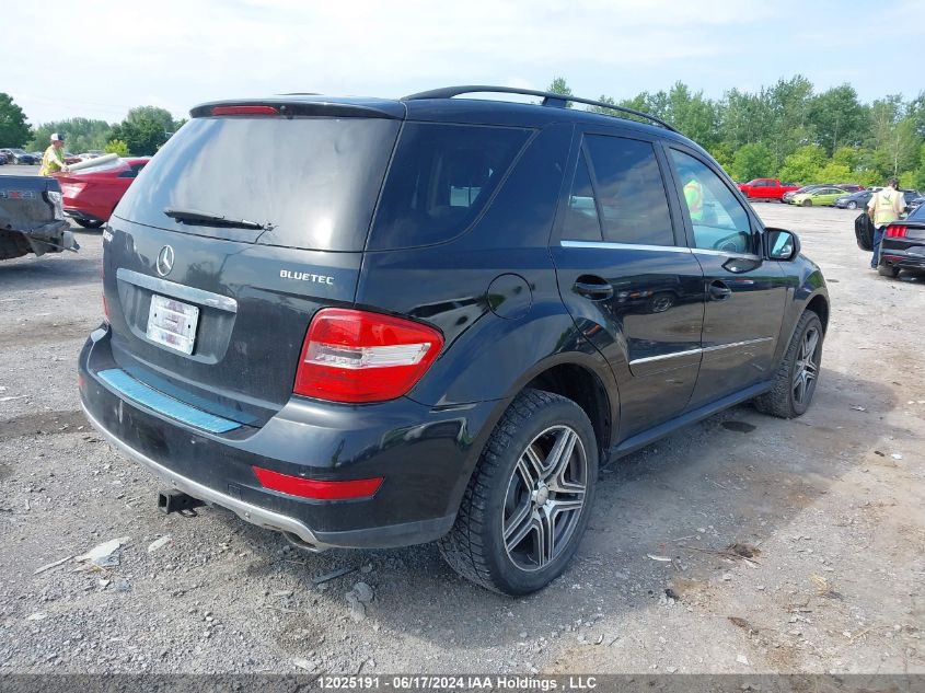 2010 Mercedes-Benz Ml 350 Bluetec VIN: 4JGBB2FB0AA581871 Lot: 12025191