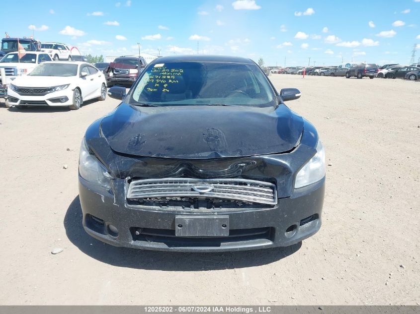 2010 Nissan Maxima 3.5 Sv VIN: 1N4AA5AP4AC871225 Lot: 12025202