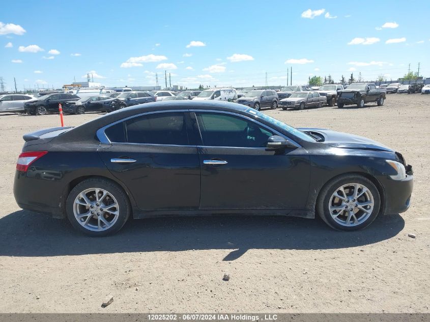 2010 Nissan Maxima 3.5 Sv VIN: 1N4AA5AP4AC871225 Lot: 12025202