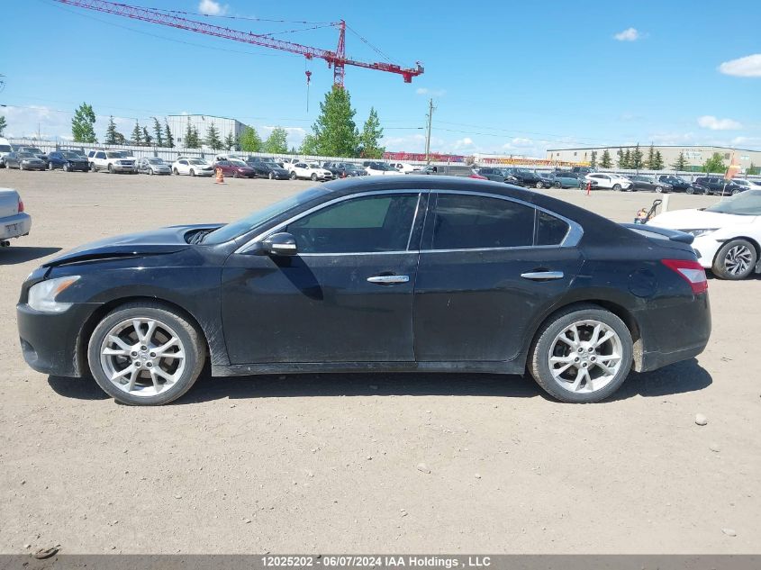 2010 Nissan Maxima 3.5 Sv VIN: 1N4AA5AP4AC871225 Lot: 12025202