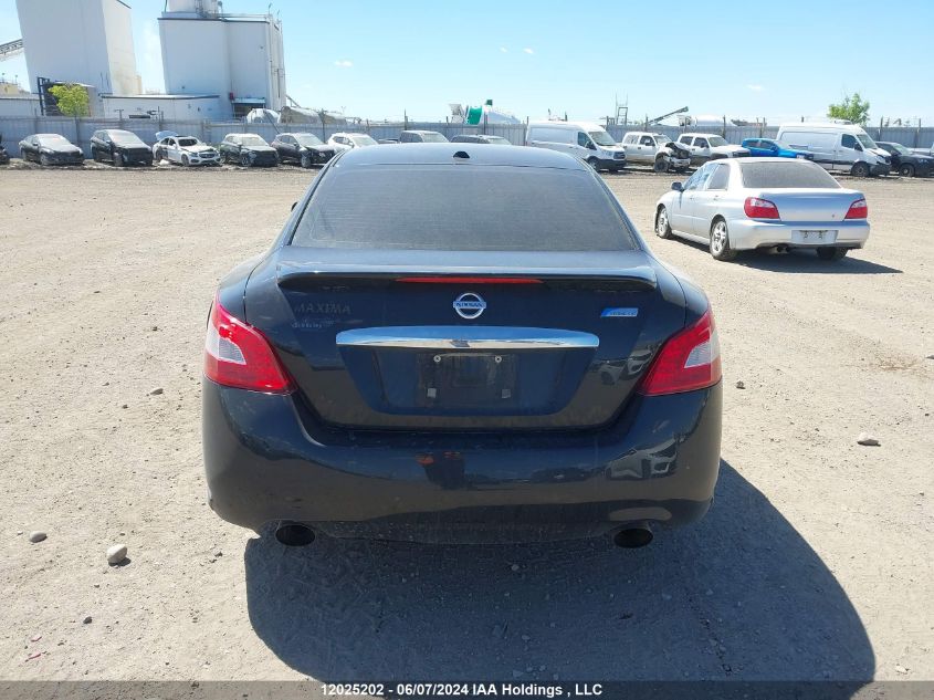 2010 Nissan Maxima 3.5 Sv VIN: 1N4AA5AP4AC871225 Lot: 12025202