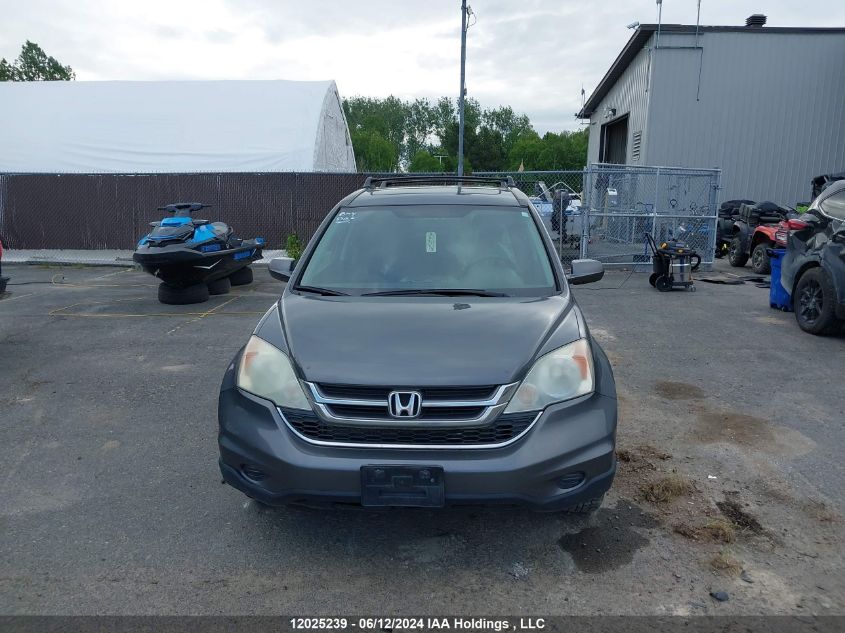 2010 Honda Cr-V VIN: 5J6RE4H50AL801196 Lot: 12025239