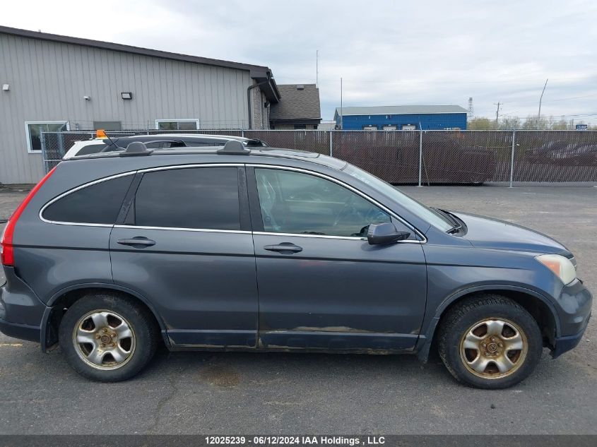 2010 Honda Cr-V VIN: 5J6RE4H50AL801196 Lot: 12025239