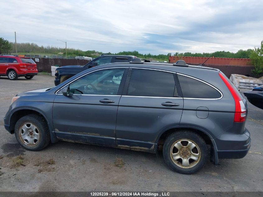 2010 Honda Cr-V VIN: 5J6RE4H50AL801196 Lot: 12025239