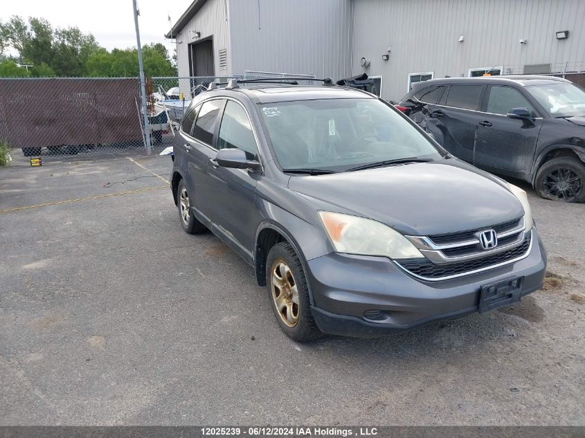 2010 Honda Cr-V VIN: 5J6RE4H50AL801196 Lot: 12025239