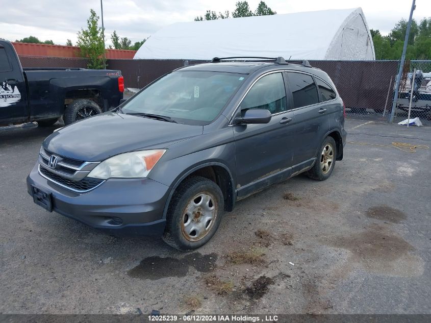 2010 Honda Cr-V VIN: 5J6RE4H50AL801196 Lot: 12025239