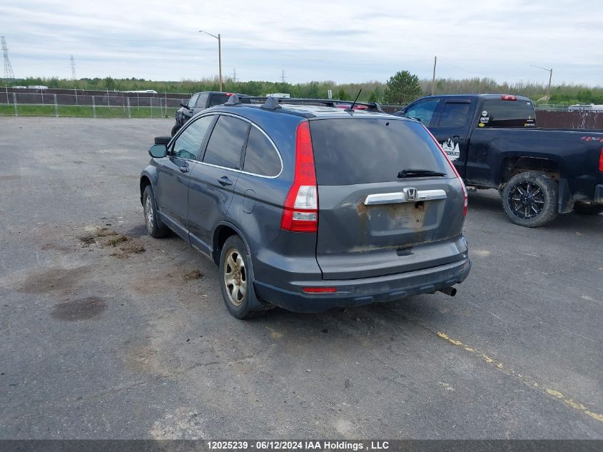 2010 Honda Cr-V VIN: 5J6RE4H50AL801196 Lot: 12025239