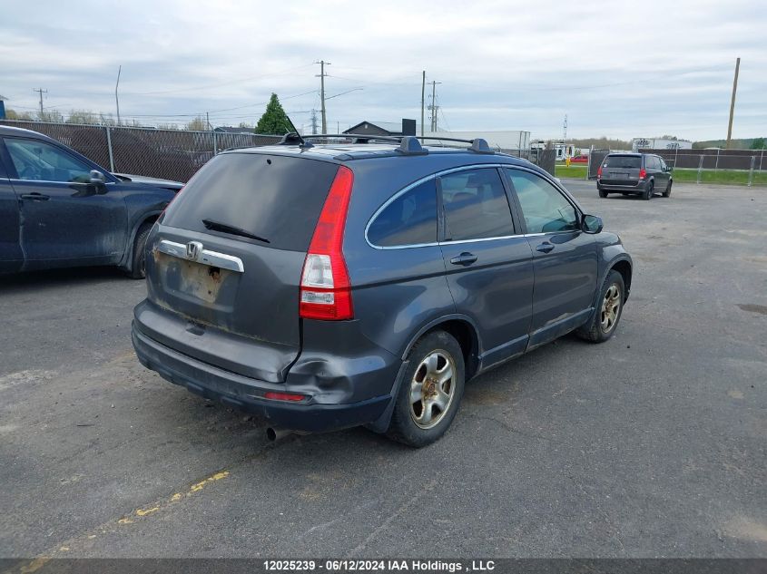 2010 Honda Cr-V VIN: 5J6RE4H50AL801196 Lot: 12025239