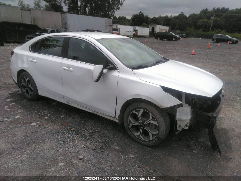 2019 Kia Forte VIN: 3KPF54AD8KE123897 Lot: 12025241