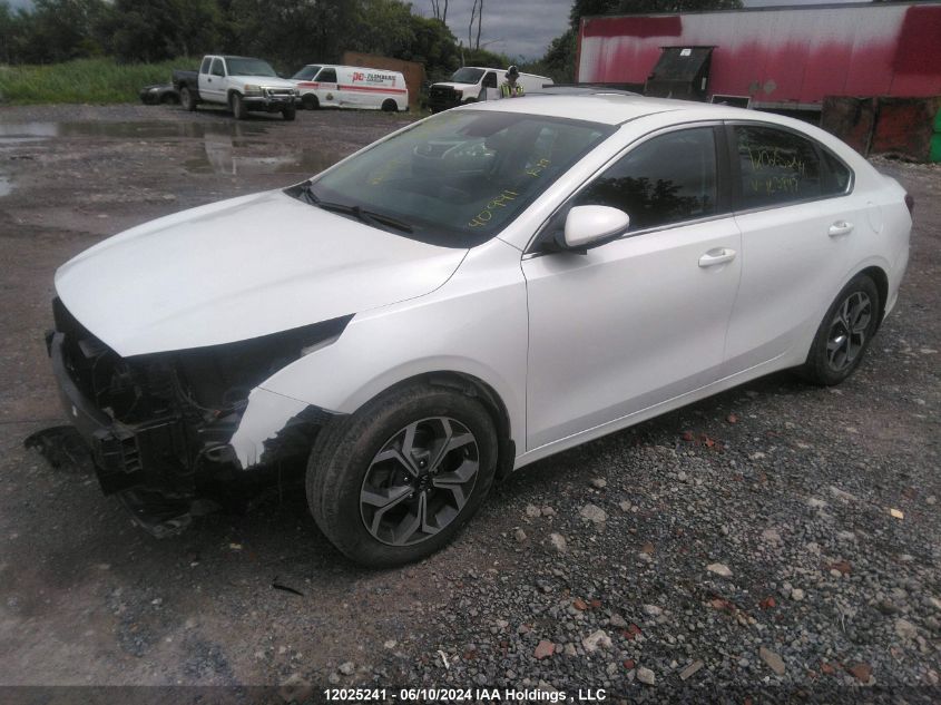 2019 Kia Forte VIN: 3KPF54AD8KE123897 Lot: 12025241