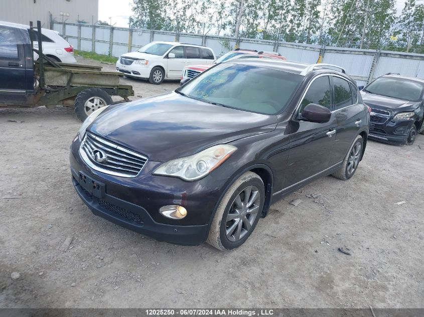 2010 Infiniti Ex35 Journey VIN: JN1AJ0HR2AM758049 Lot: 12025250