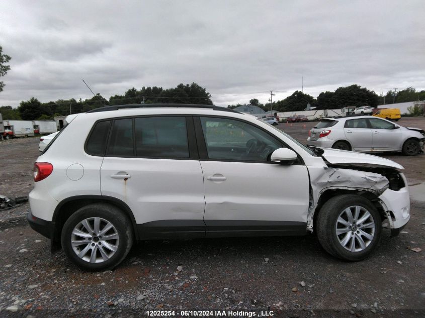 2010 Volkswagen Tiguan Se/Sel VIN: WVGBV7AX3AW514336 Lot: 12025254