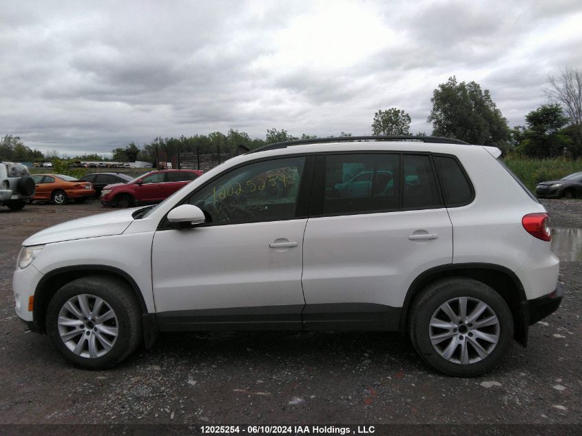 2010 Volkswagen Tiguan Se/Sel VIN: WVGBV7AX3AW514336 Lot: 12025254