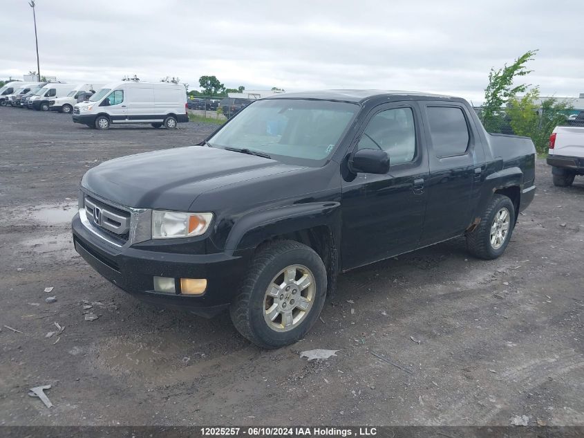 2009 Honda Ridgeline VIN: 2HJYK16569H002877 Lot: 12025257