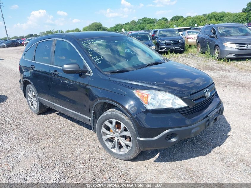 2009 Honda Cr-V VIN: 5J6RE48359L810812 Lot: 12025261