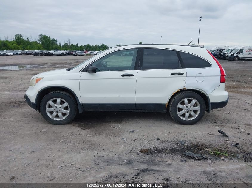 2008 Honda Cr-V VIN: 5J6RE48528L801968 Lot: 12025272