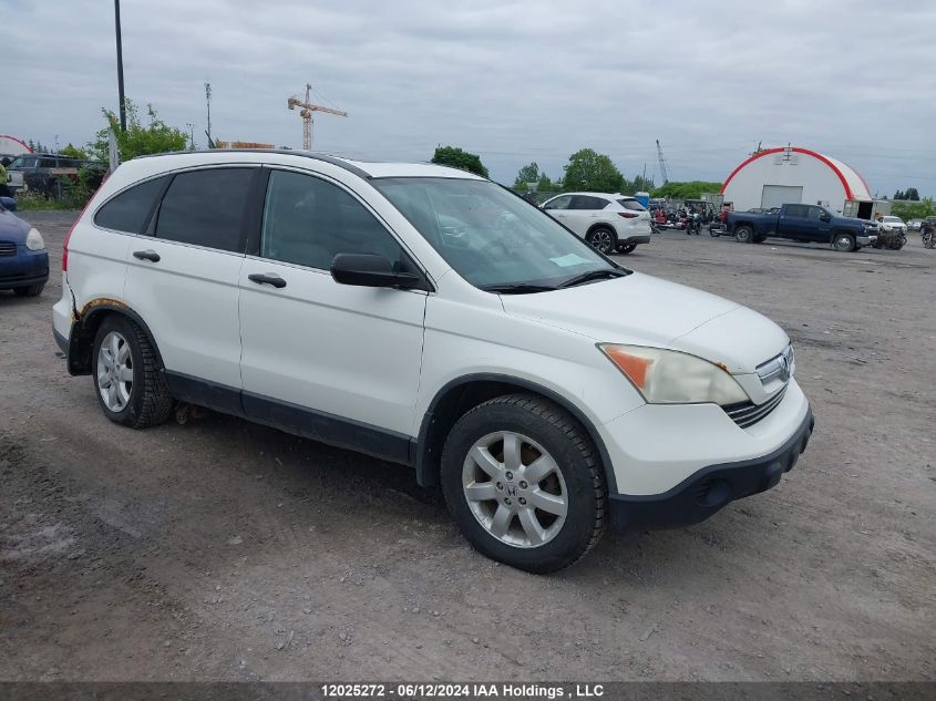 2008 Honda Cr-V VIN: 5J6RE48528L801968 Lot: 12025272