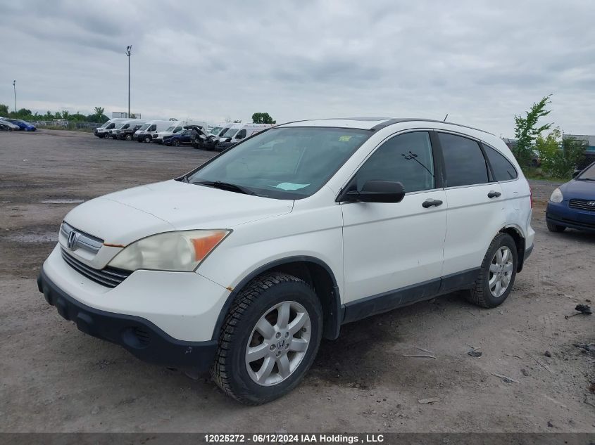 2008 Honda Cr-V VIN: 5J6RE48528L801968 Lot: 12025272