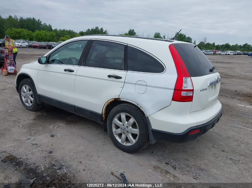 2008 Honda Cr-V VIN: 5J6RE48528L801968 Lot: 12025272