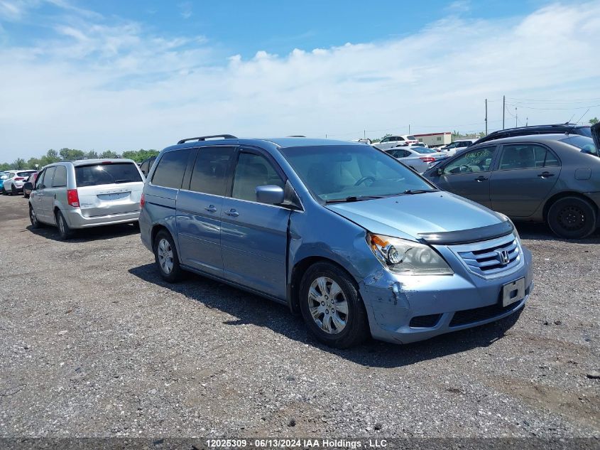 2008 Honda Odyssey Ex VIN: 5FNRL38488B503151 Lot: 12025309