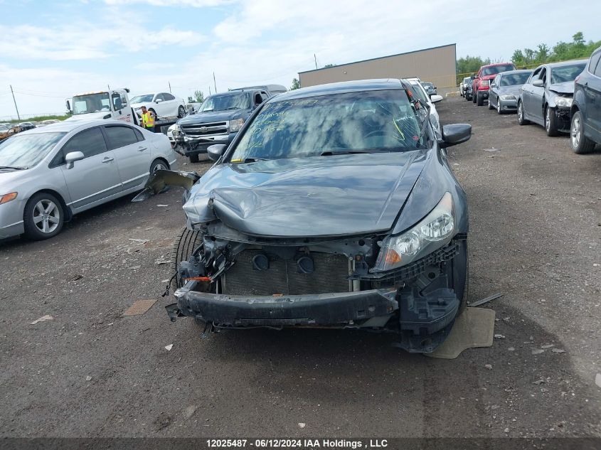 2010 Honda Accord Sedan VIN: 1HGCP2F82AA801852 Lot: 12025487