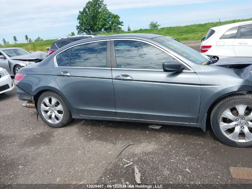 2010 Honda Accord Sedan VIN: 1HGCP2F82AA801852 Lot: 12025487