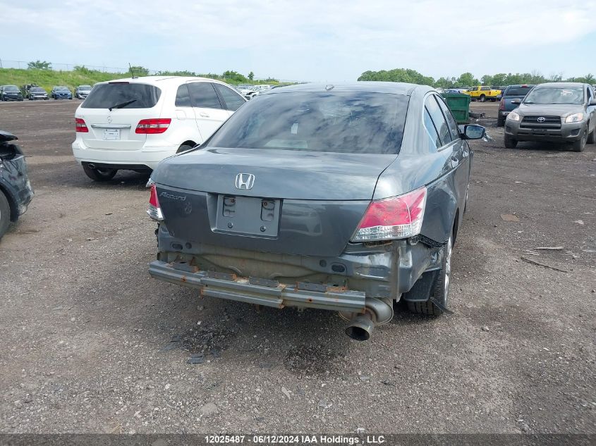 2010 Honda Accord Sedan VIN: 1HGCP2F82AA801852 Lot: 12025487