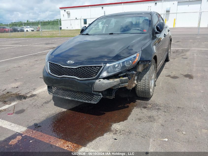 2015 Kia Optima VIN: KNAGM4A75F5625234 Lot: 12025538