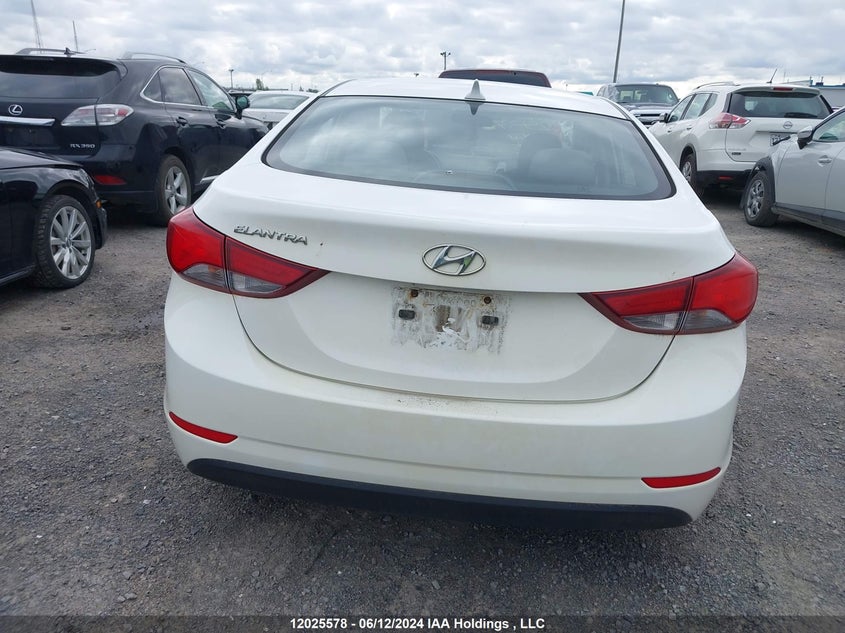 2014 Hyundai Elantra VIN: 5NPDH4AE8EH520145 Lot: 12025578