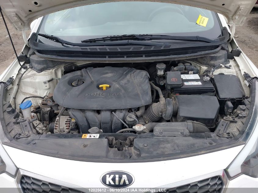 2016 Kia Forte VIN: KNAFK4A65G5600344 Lot: 12025612