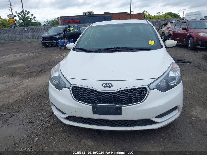 2016 Kia Forte VIN: KNAFK4A65G5600344 Lot: 12025612