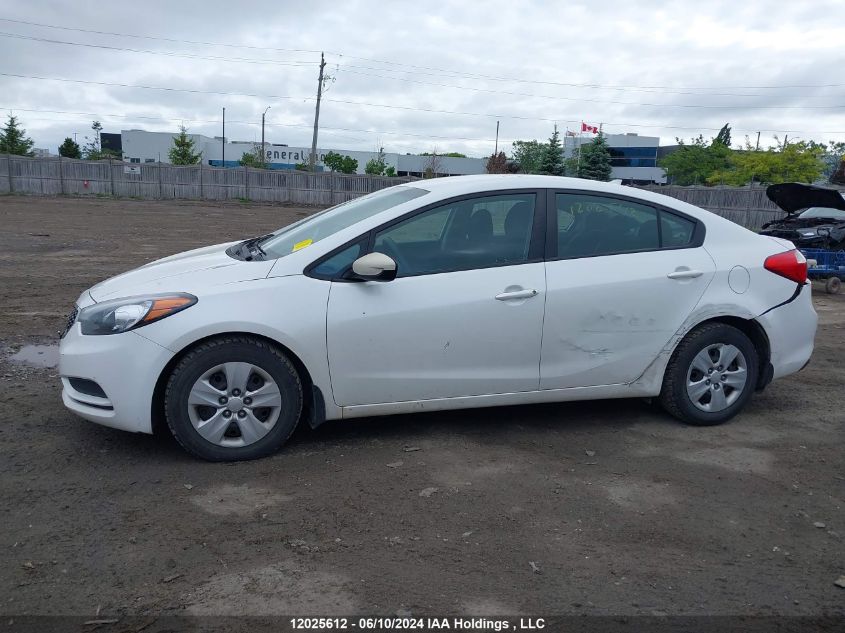 2016 Kia Forte VIN: KNAFK4A65G5600344 Lot: 12025612