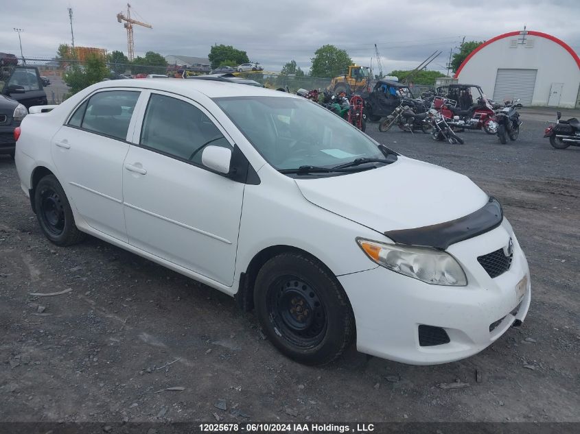 2010 Toyota Corolla Le VIN: 2T1BU4EE4AC505264 Lot: 12025678