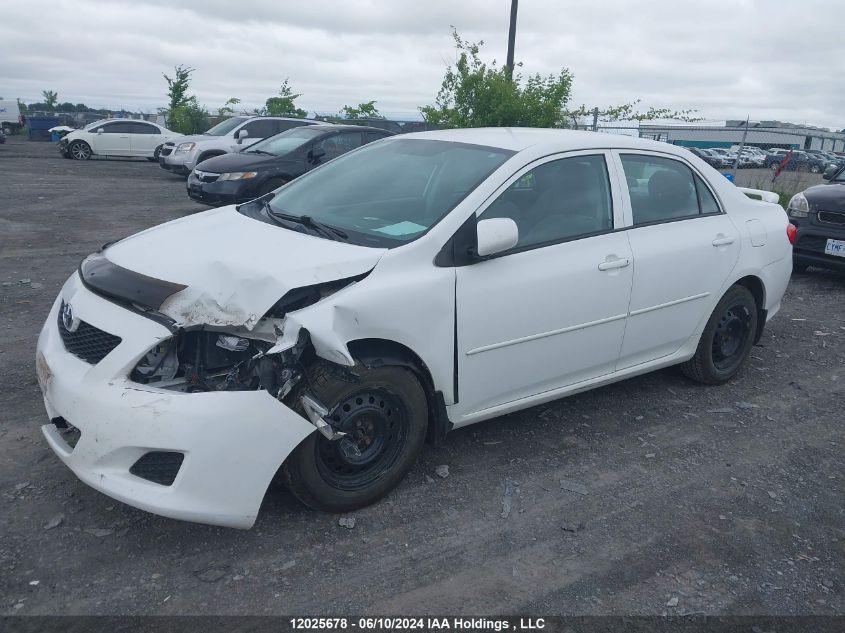 2010 Toyota Corolla Le VIN: 2T1BU4EE4AC505264 Lot: 12025678