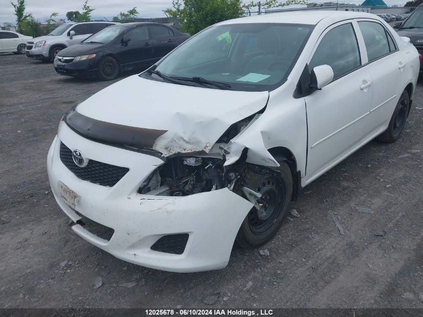 2010 Toyota Corolla Le VIN: 2T1BU4EE4AC505264 Lot: 12025678