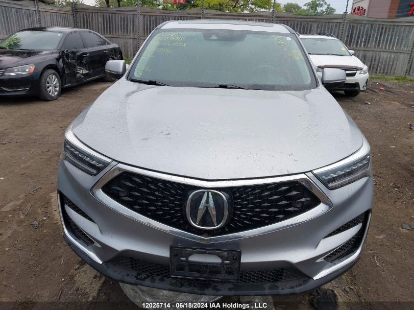 2019 Acura Rdx VIN: 5J8TC2H31KL808181 Lot: 12025714