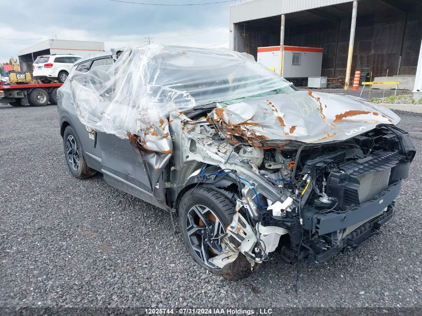 2023 Kia Sportage VIN: KNDPUCAF5P7204236 Lot: 12025744