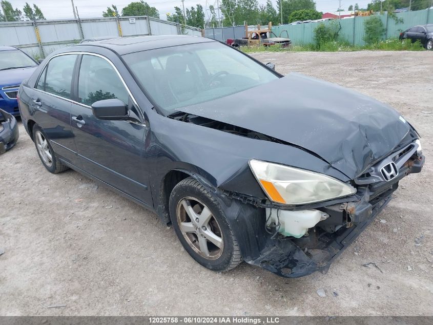 2004 Honda Accord Ex VIN: 1HGCM55654A813668 Lot: 12025758