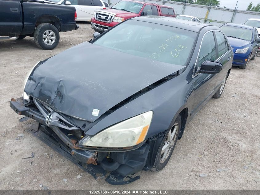 2004 Honda Accord Ex VIN: 1HGCM55654A813668 Lot: 12025758