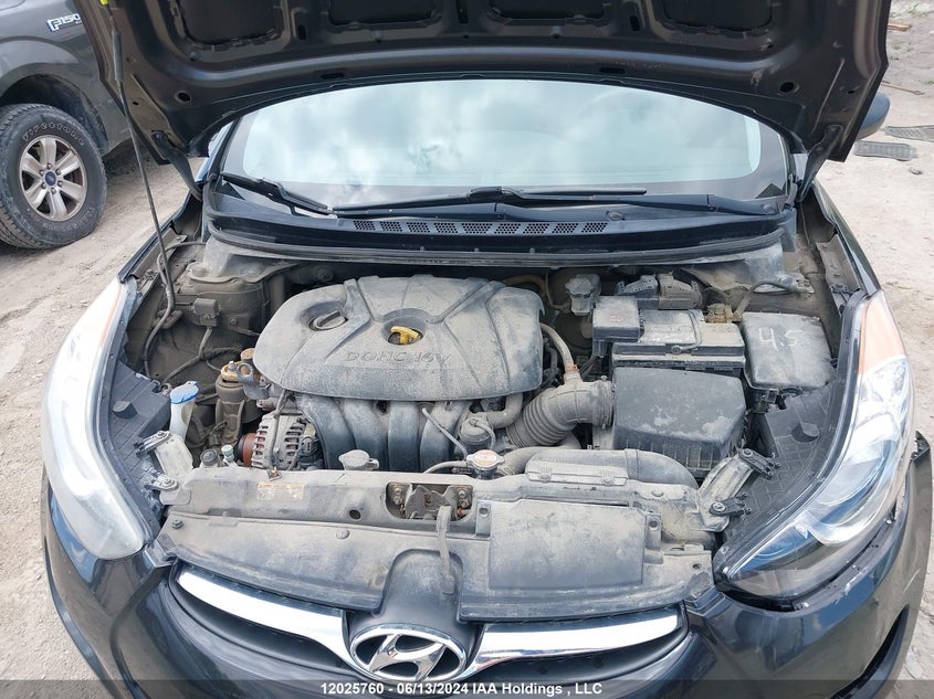 2012 Hyundai Elantra Gls/Limited VIN: 5NPDH4AE2CH116173 Lot: 12025760