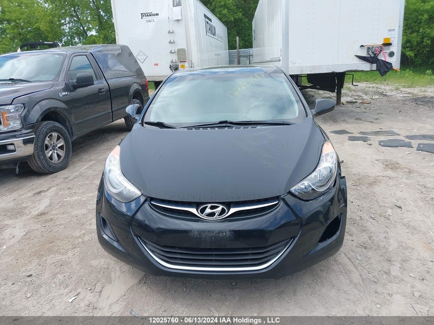 2012 Hyundai Elantra Gls/Limited VIN: 5NPDH4AE2CH116173 Lot: 12025760